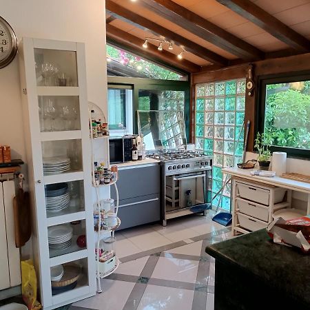 Pietrasanta - Versilia - Villa Arzilla Garden Con Piscina Tonfano Exteriér fotografie