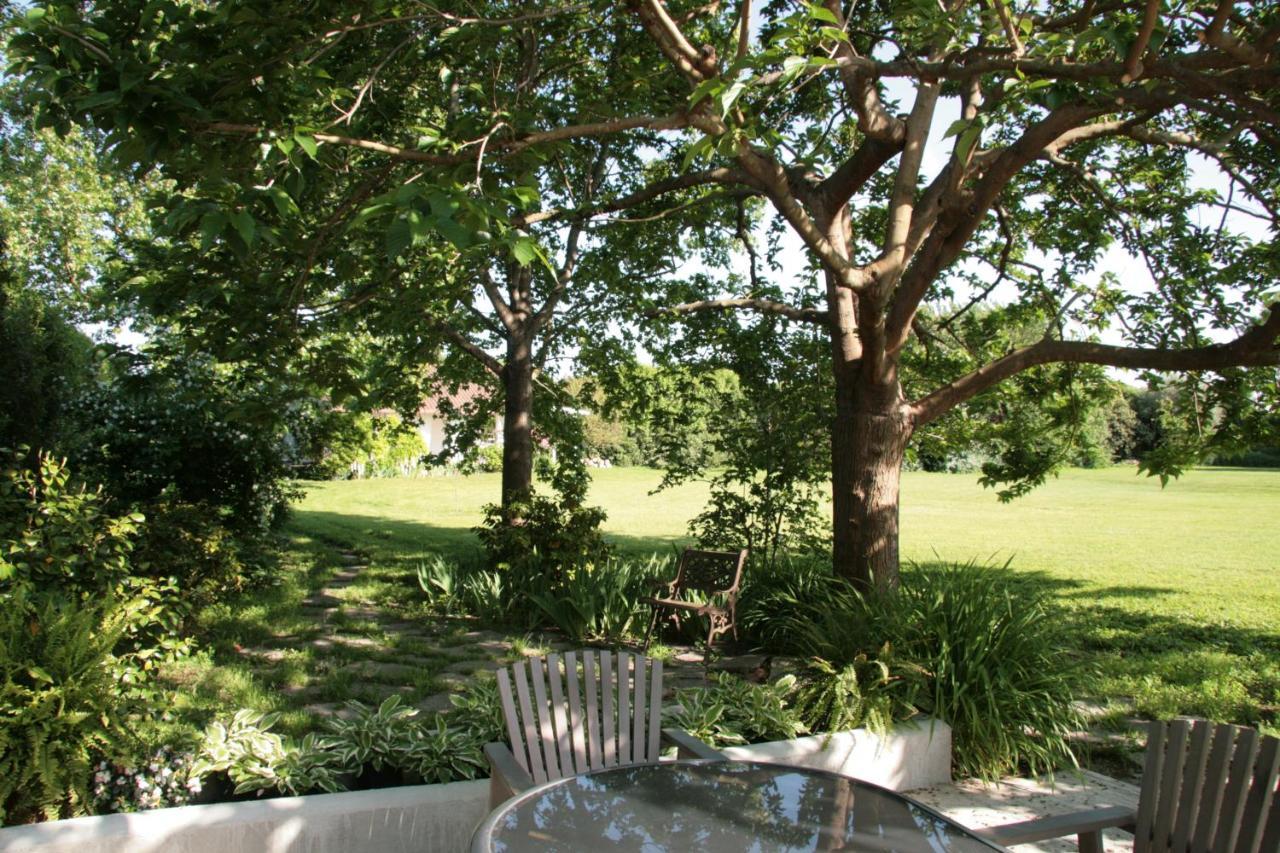 Pietrasanta - Versilia - Villa Arzilla Garden Con Piscina Tonfano Exteriér fotografie