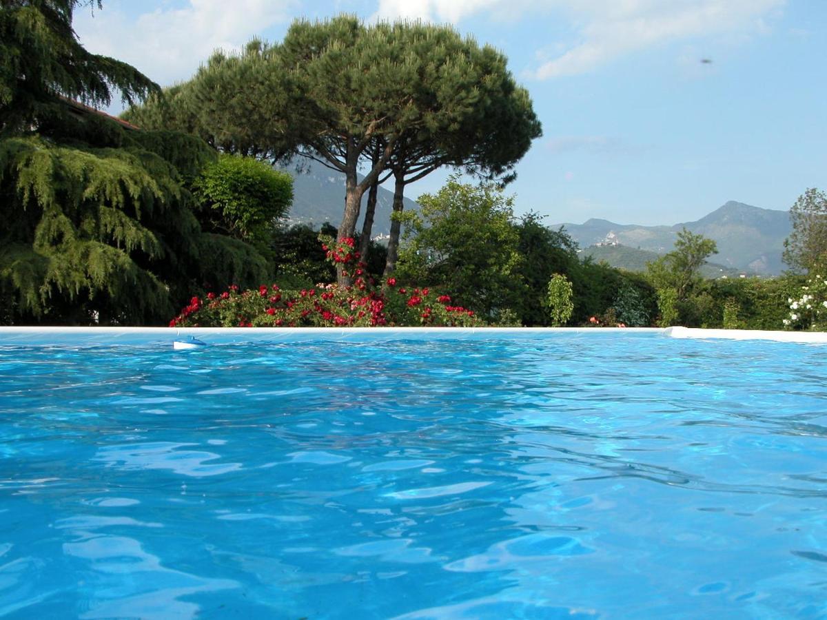 Pietrasanta - Versilia - Villa Arzilla Garden Con Piscina Tonfano Exteriér fotografie