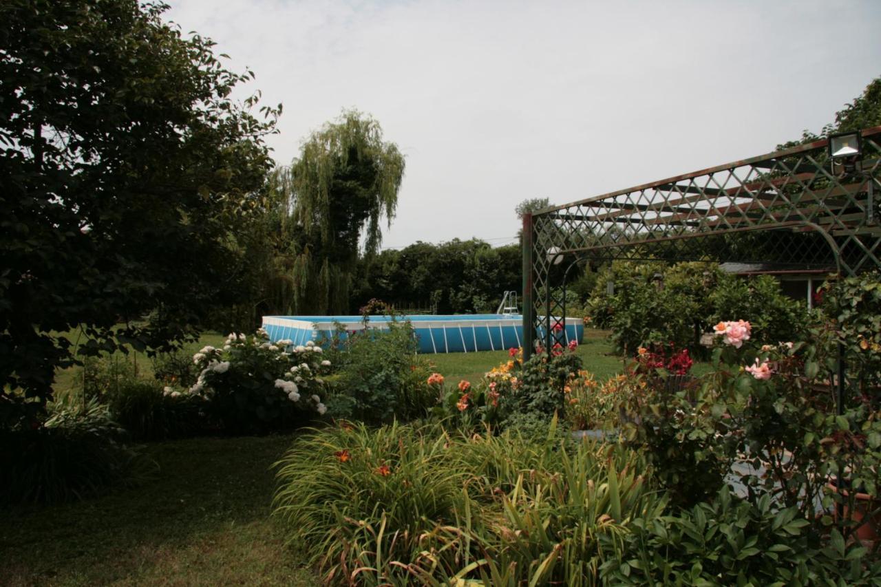 Pietrasanta - Versilia - Villa Arzilla Garden Con Piscina Tonfano Exteriér fotografie