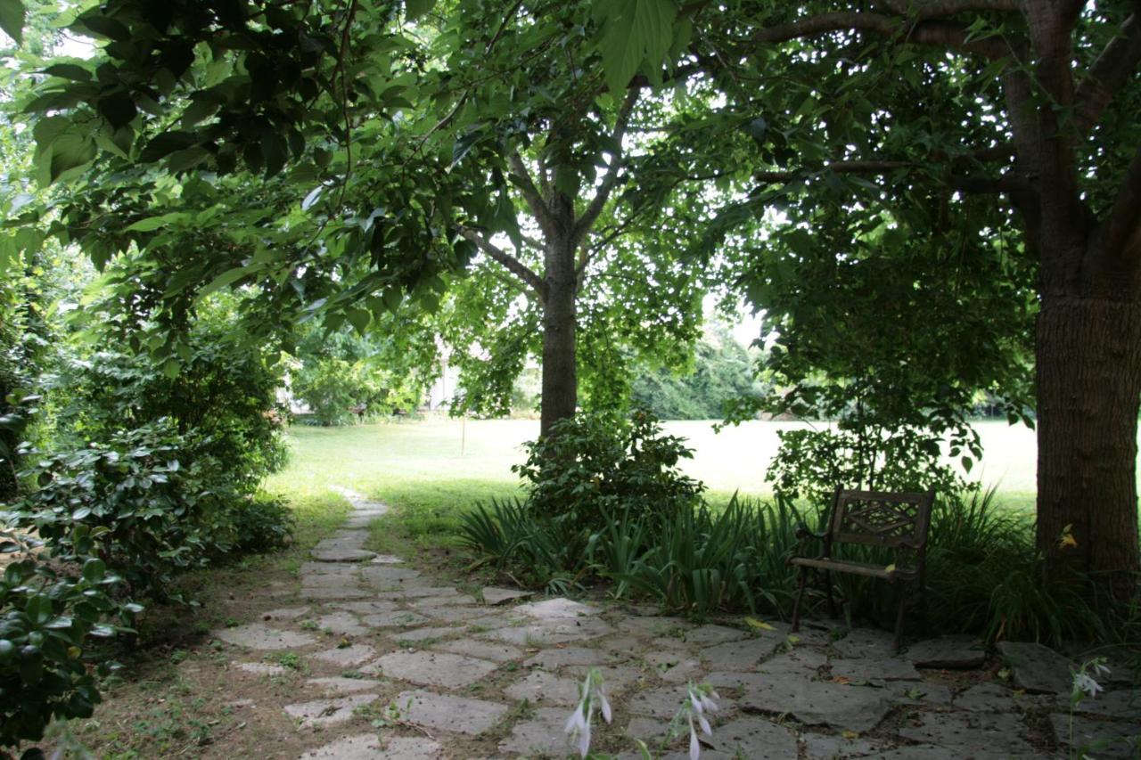 Pietrasanta - Versilia - Villa Arzilla Garden Con Piscina Tonfano Exteriér fotografie