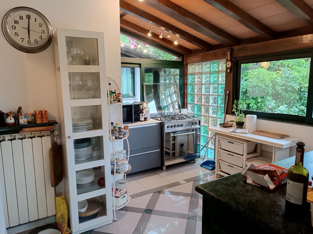 Pietrasanta - Versilia - Villa Arzilla Garden Con Piscina Tonfano Exteriér fotografie